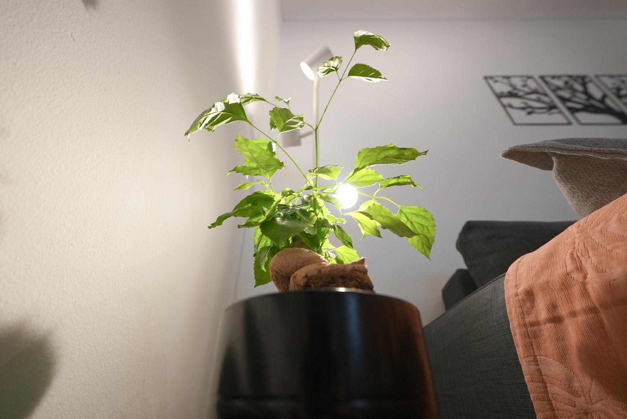 Syntagma Square, 50Sqm Nikis Luxurious Apartment Athén Kültér fotó